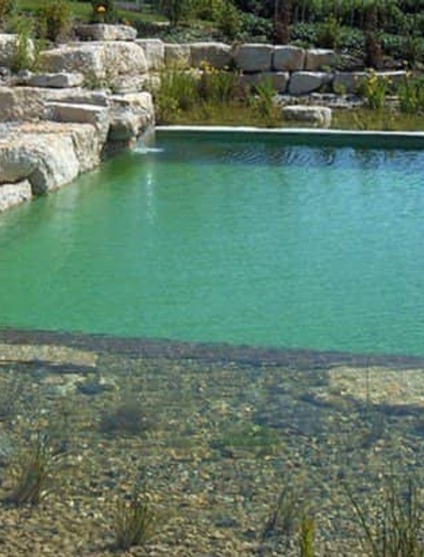Natural Pools