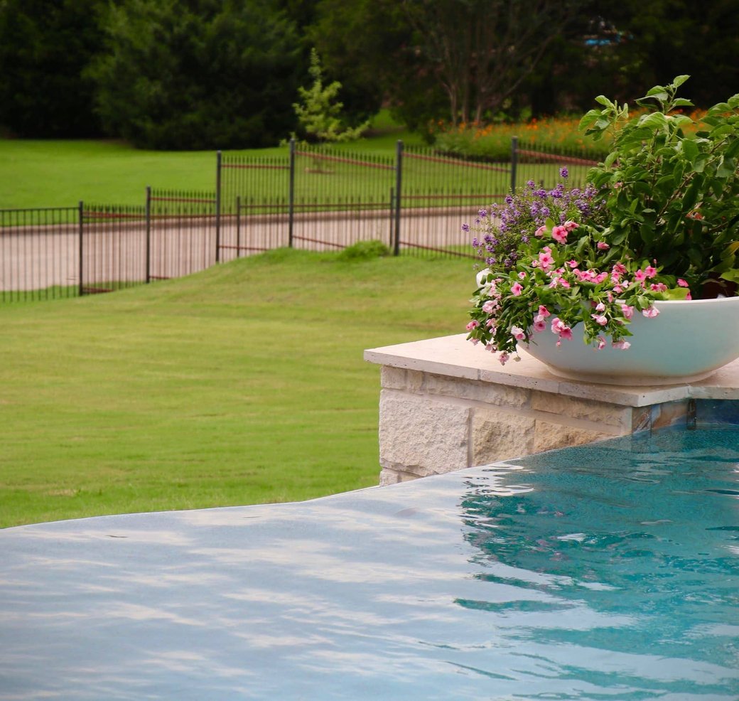 Backyard pool with landscaping