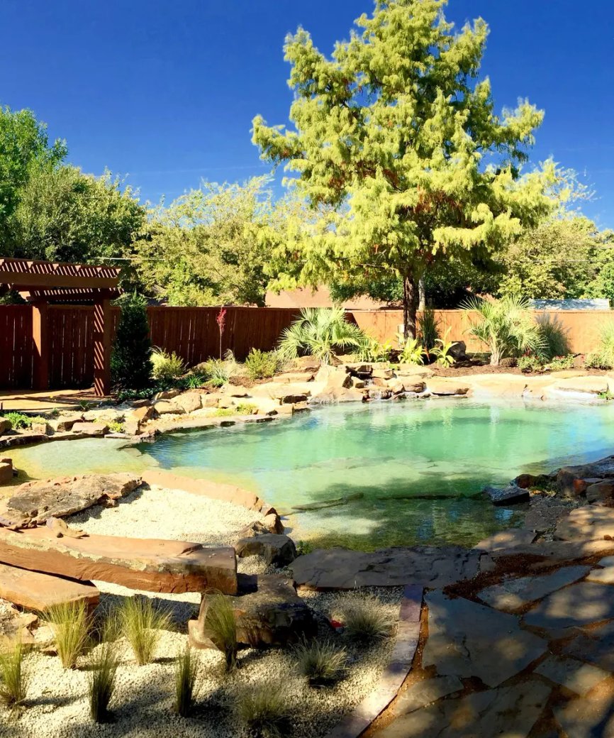 Natural pool with regeneration zone, aquatic plants, and natural stone features